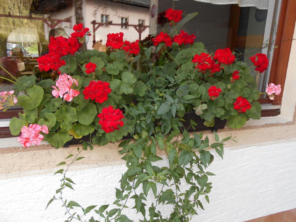Gasthaus Traube Bichlbach Buitenkant foto